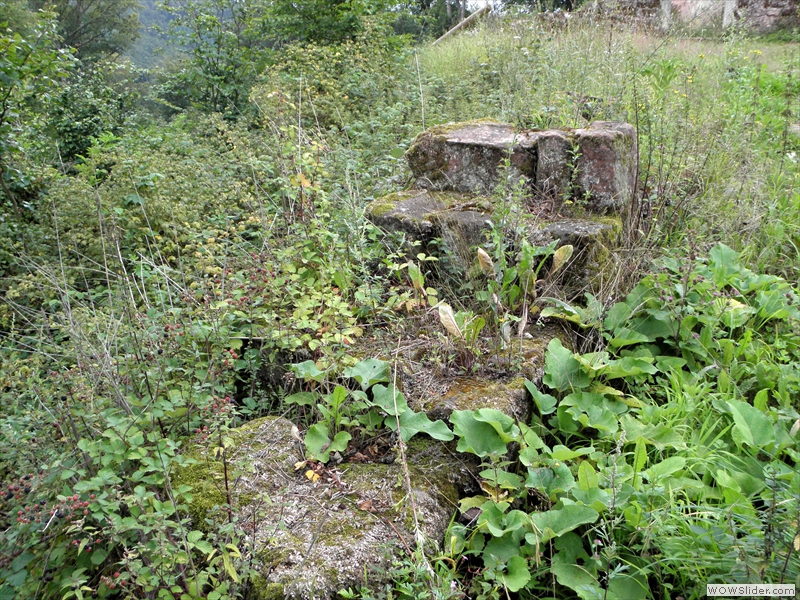 Beilstein-004