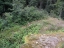 Beilstein-001