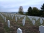 Bergheim01