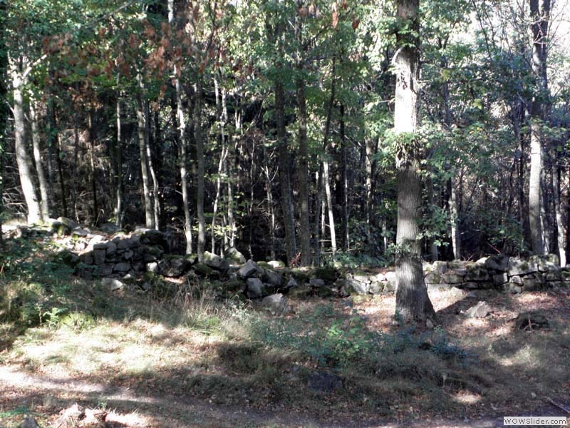 Bernstein15
