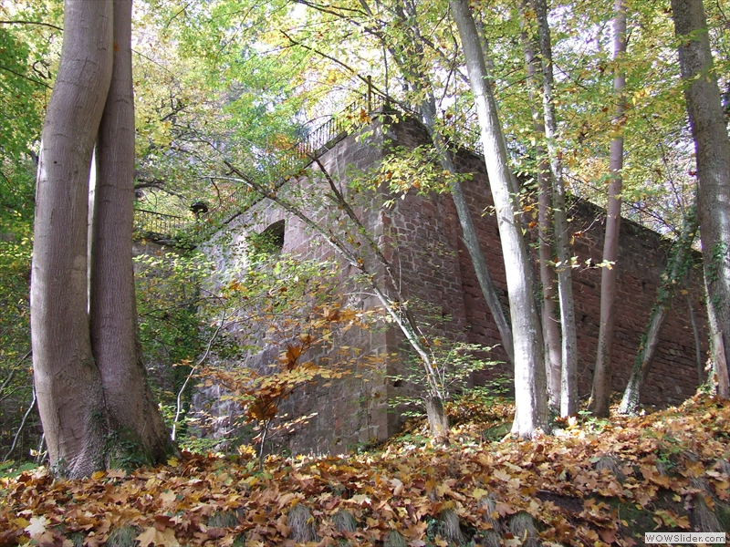 2008_1019_152407