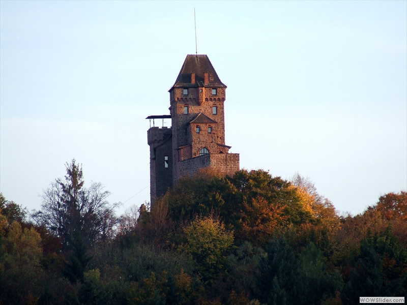 2008_1019_181255
