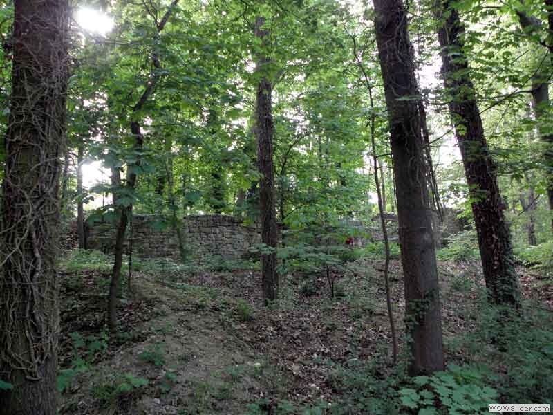 Disibodenberg-005