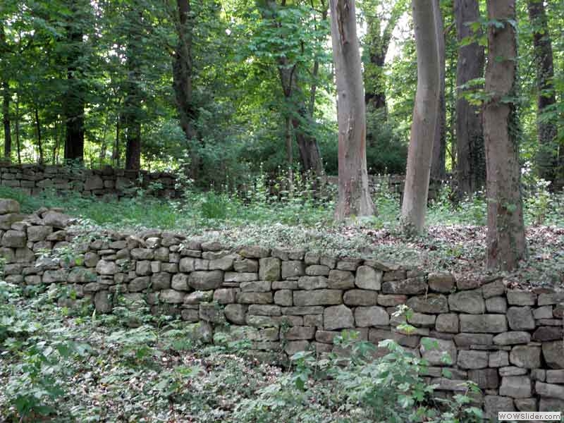 Disibodenberg-006