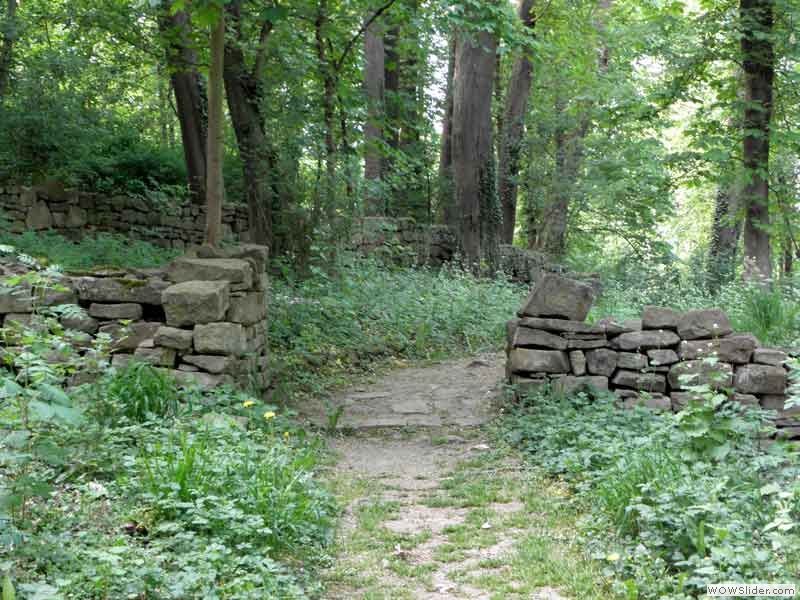 Disibodenberg-007