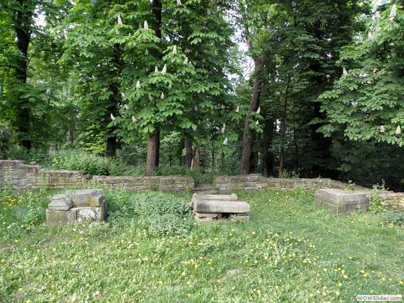 Disibodenberg-010