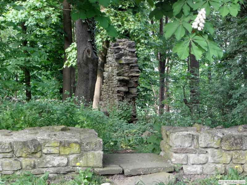 Disibodenberg-011