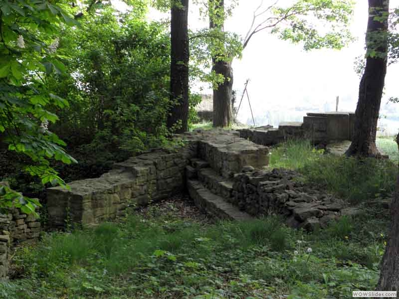 Disibodenberg-014