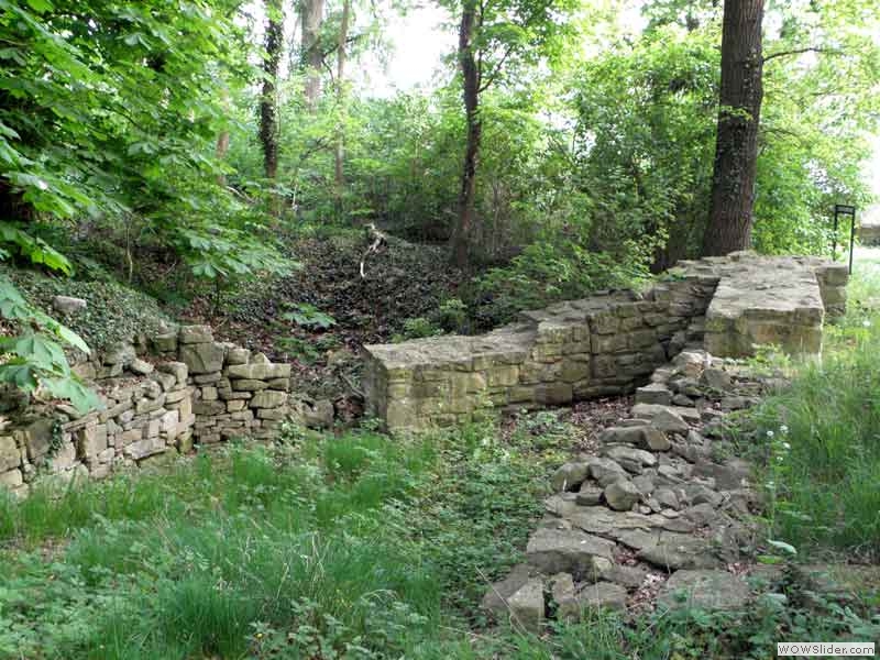 Disibodenberg-015