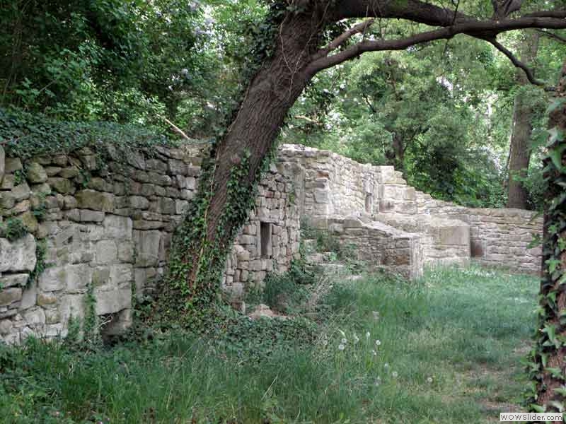 Disibodenberg-016