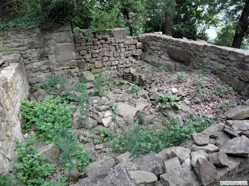 Disibodenberg-017