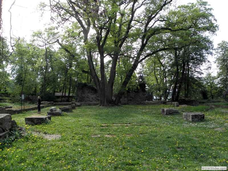 Disibodenberg-023
