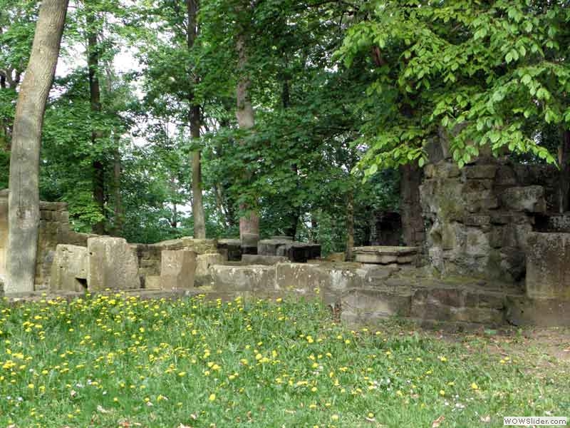Disibodenberg-026