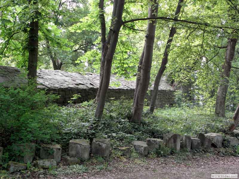 Disibodenberg-031