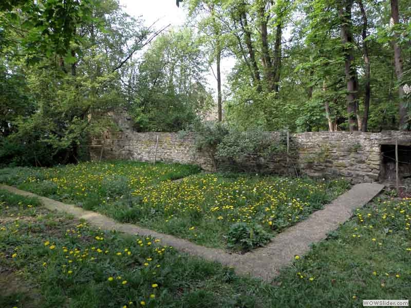 Disibodenberg-033
