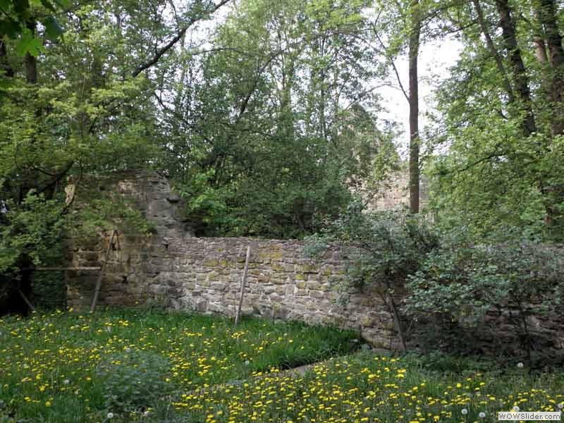 Disibodenberg-034