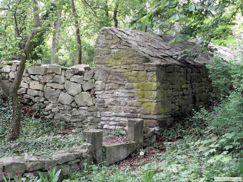 Disibodenberg-035