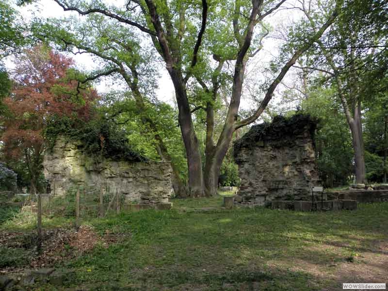 Disibodenberg-036