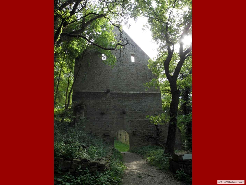 Disibodenberg-049