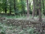 Disibodenberg-006