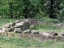 Disibodenberg-008