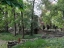 Disibodenberg-012