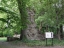 Disibodenberg-019