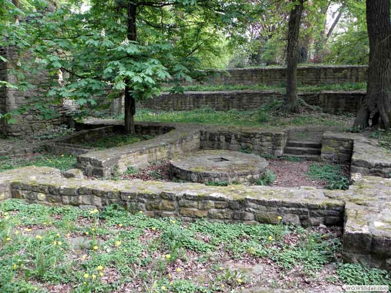 Disibodenberg-065