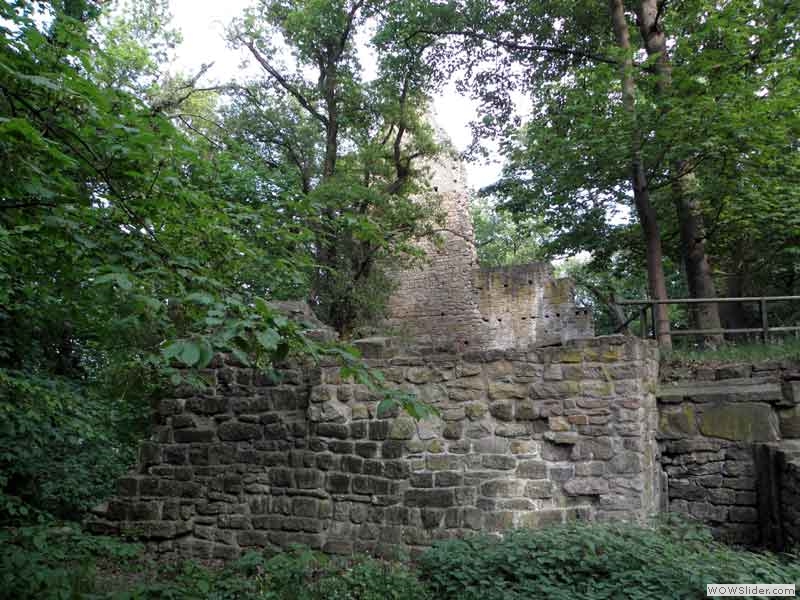 Disibodenberg-066