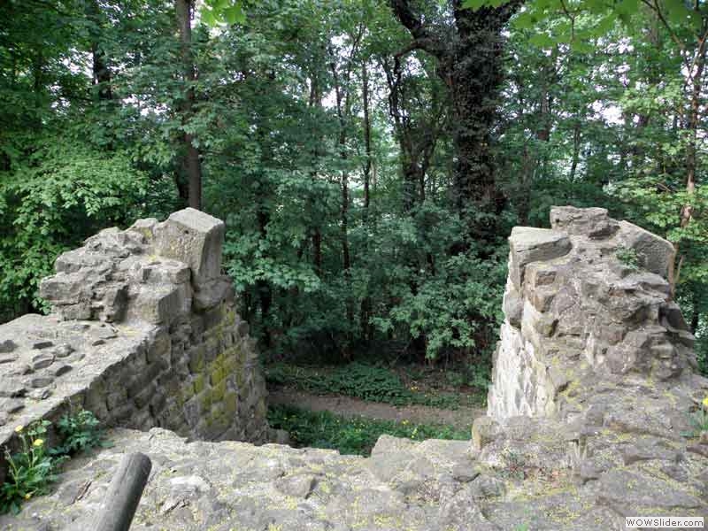 Disibodenberg-073