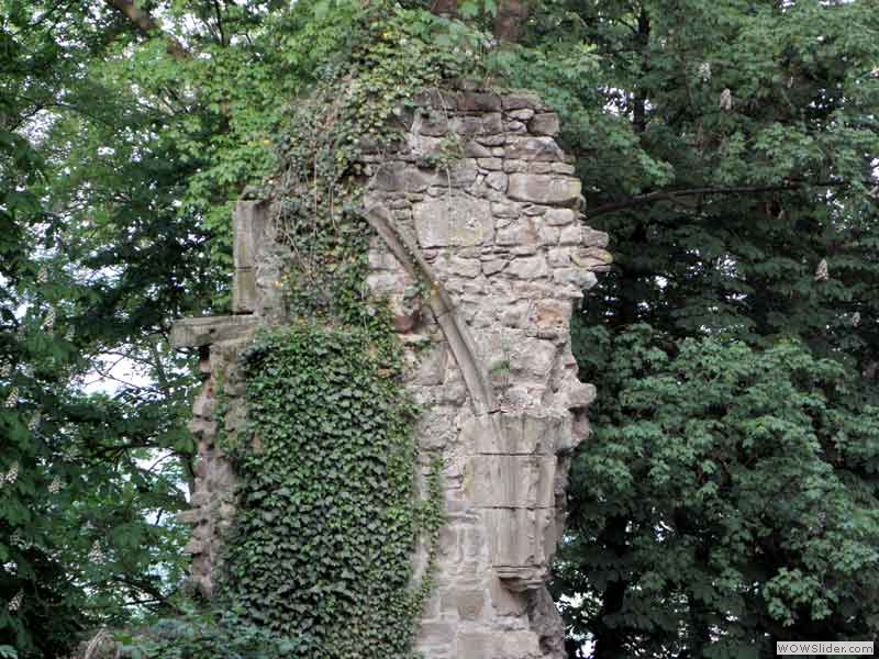 Disibodenberg-075