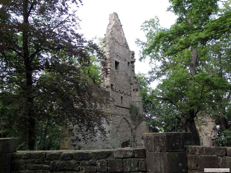 Disibodenberg-083
