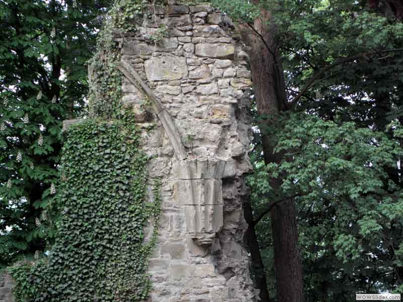 Disibodenberg-085