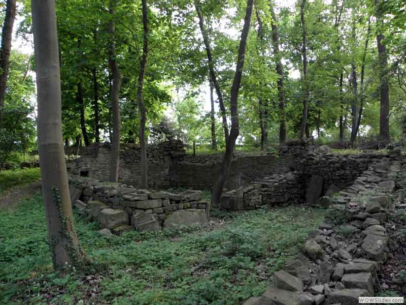 Disibodenberg-088