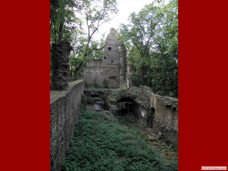 Disibodenberg-090