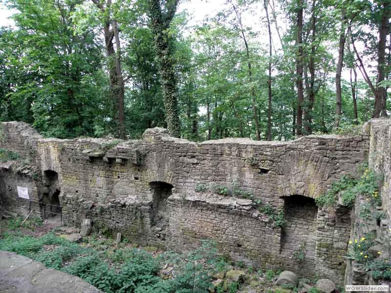 Disibodenberg-091