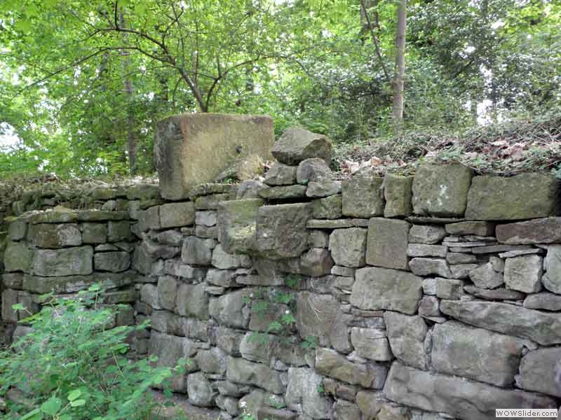 Disibodenberg-094