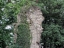 Disibodenberg-075