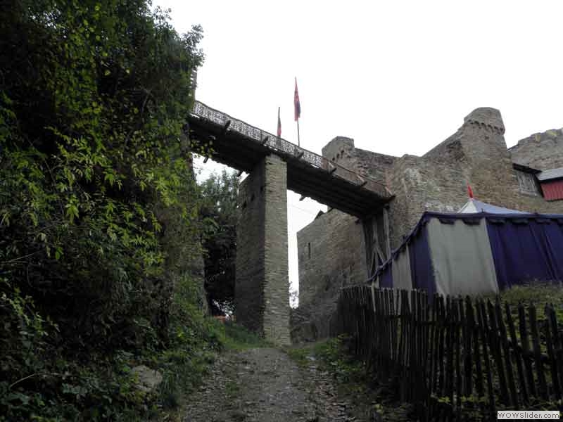 P8190384