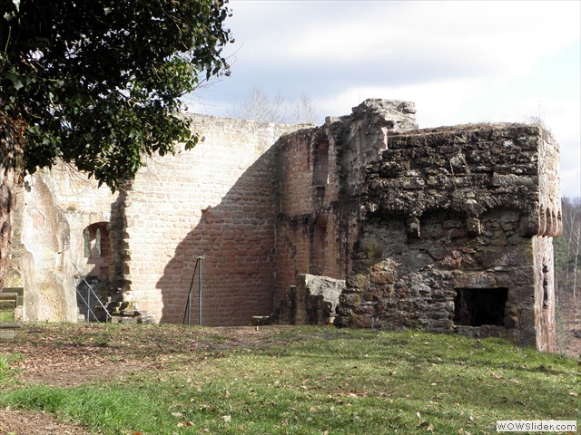 F_P3020023