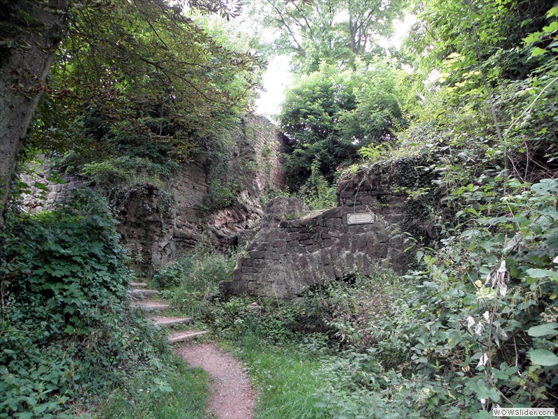 4 Hohenburg-008