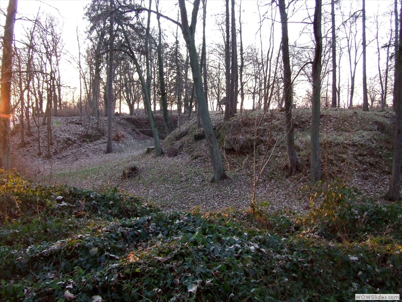 5 2008_1226_172258