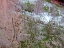 6 2008_1226_174208