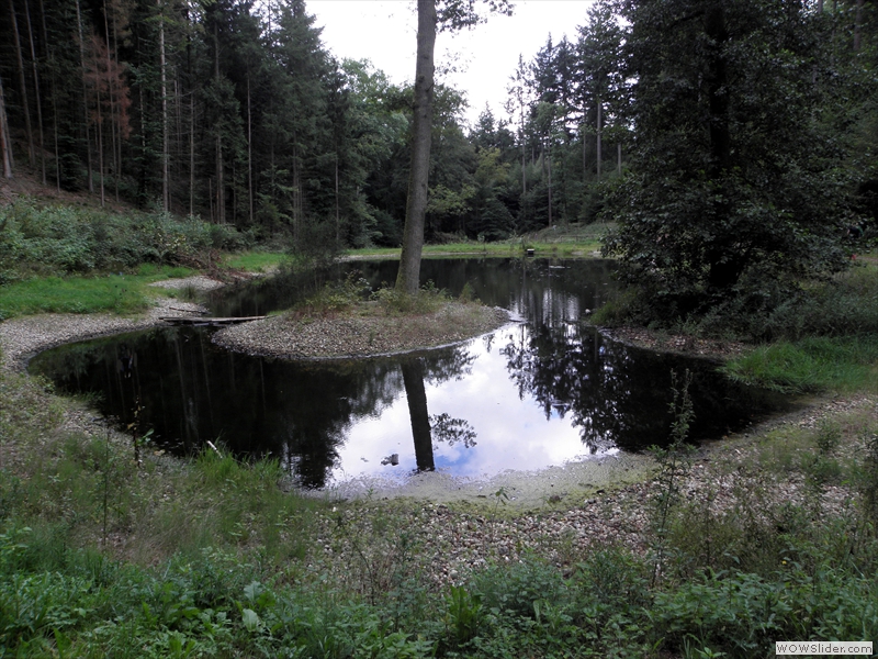 Schwanenweiher-1