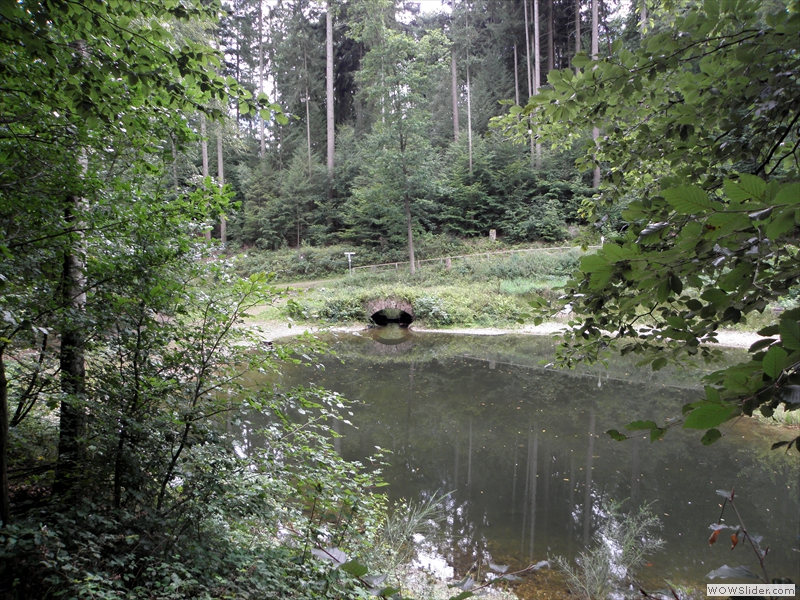 Schwanenweiher-16