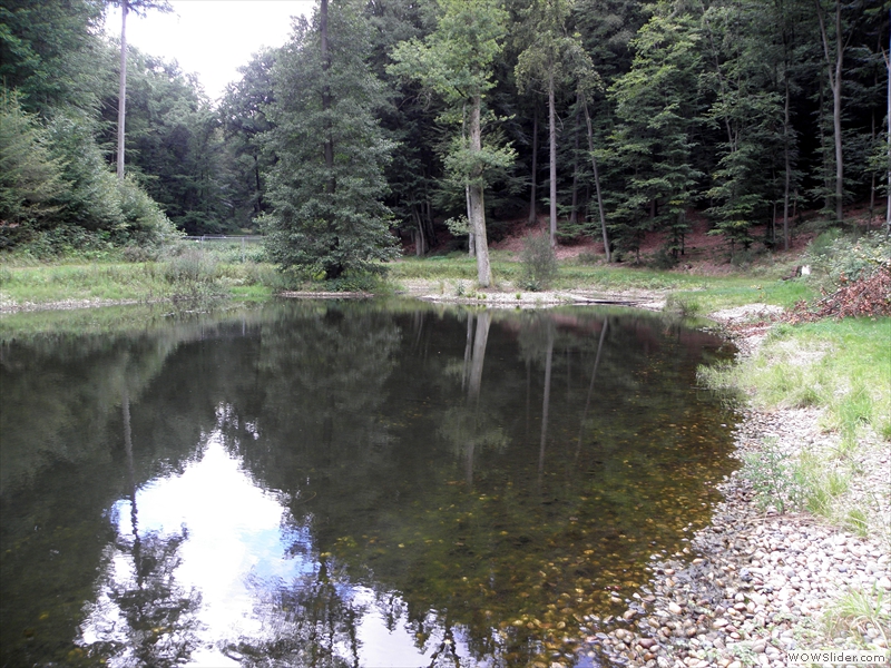 Schwanenweiher-3