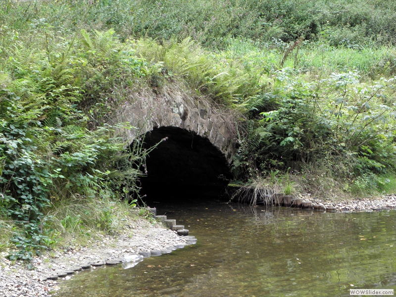 Schwanenweiher-4