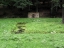 Baerenzwinger-8