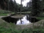 Schwanenweiher-1