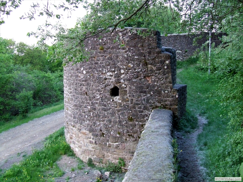 Noerdlicher-Zwingerturm-(5)